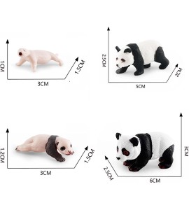 Cycle de vie du panda