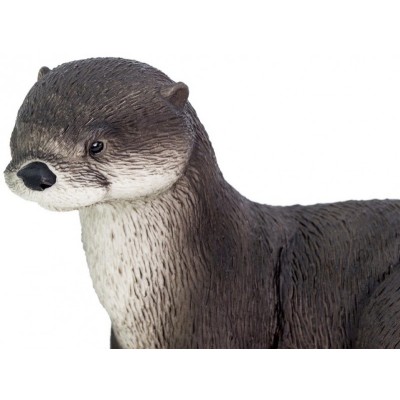 Loutre