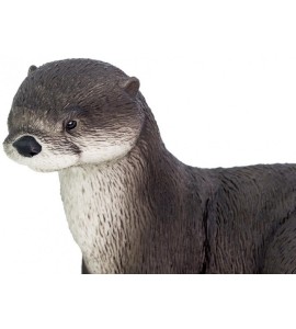 Loutre