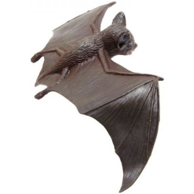 Chauve-souris