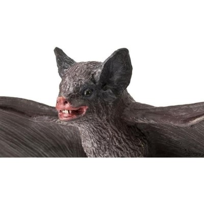 Chauve-souris