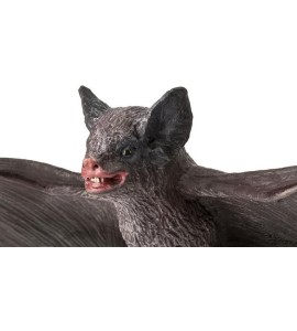 Chauve-souris