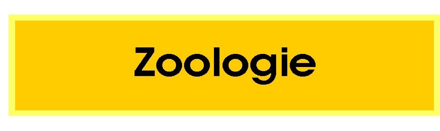 Zoologie