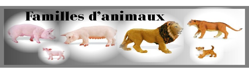 Familles d'animaux 