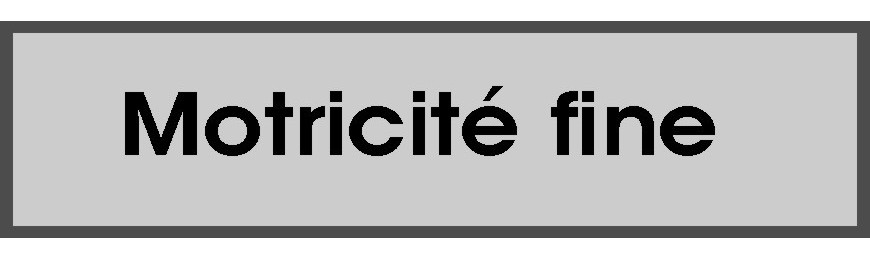 Motricité fine 