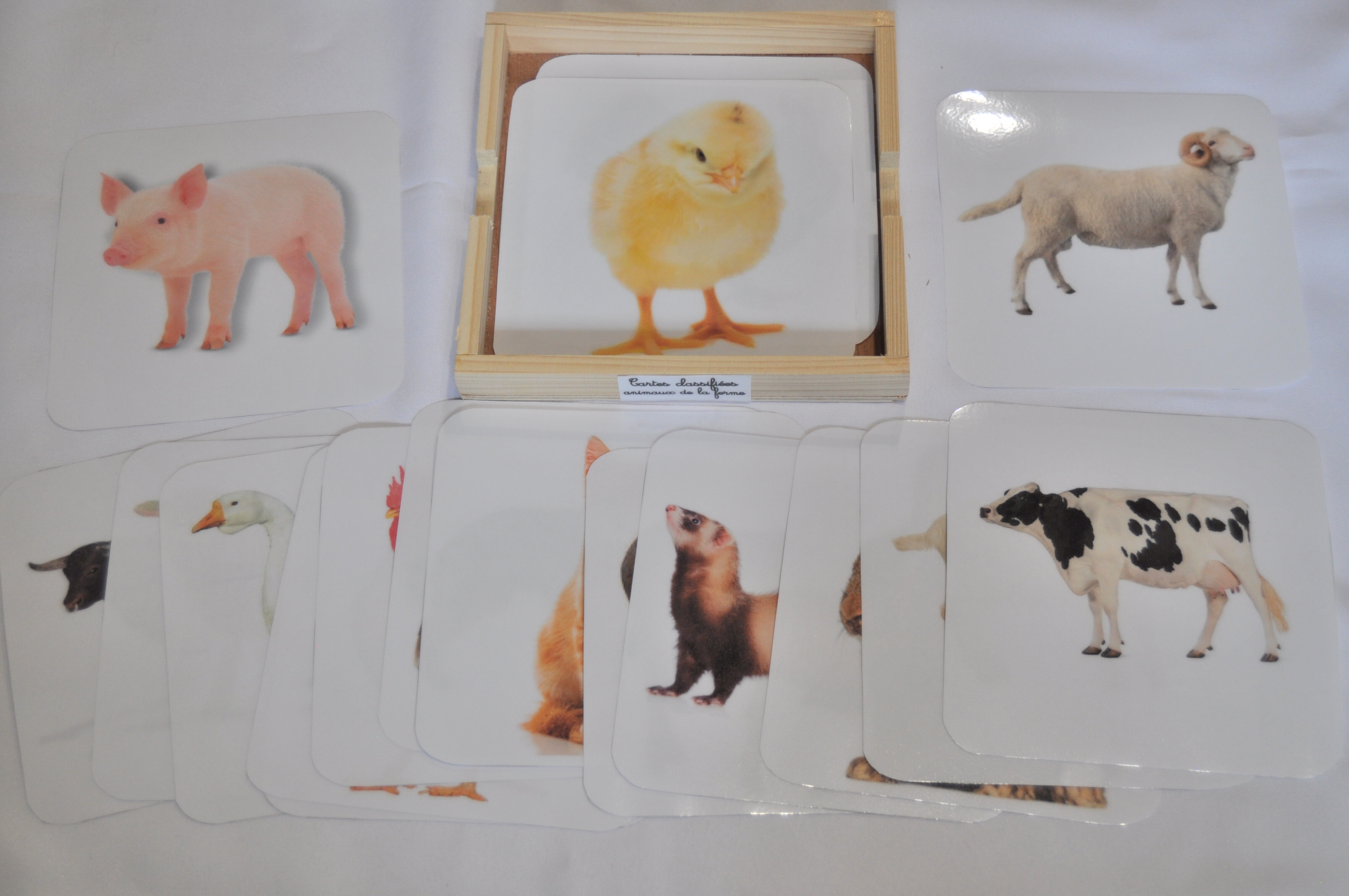 Cartes Montessori - Animaux de la ferme - Avec fond - Ressource pédagogique  pour les matières Explorer le monde (Cycle 1) & Acquisition du langage