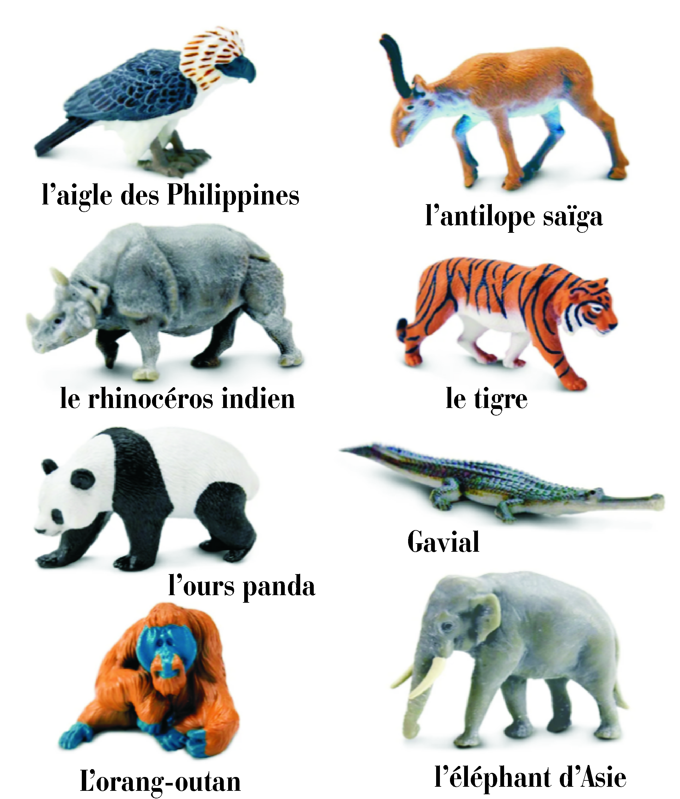 Jouets de Figurines d'Animaux d'Asie TOOB 100685 Safari Ltd - 8